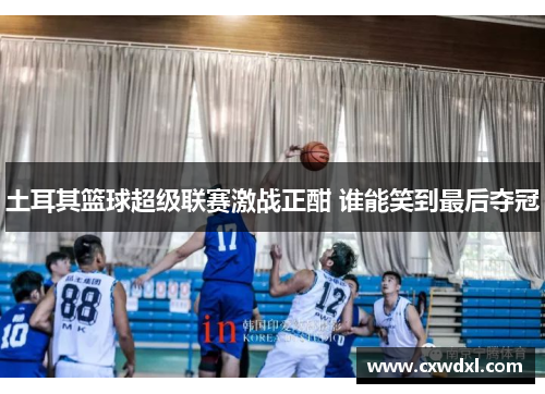 土耳其篮球超级联赛激战正酣 谁能笑到最后夺冠